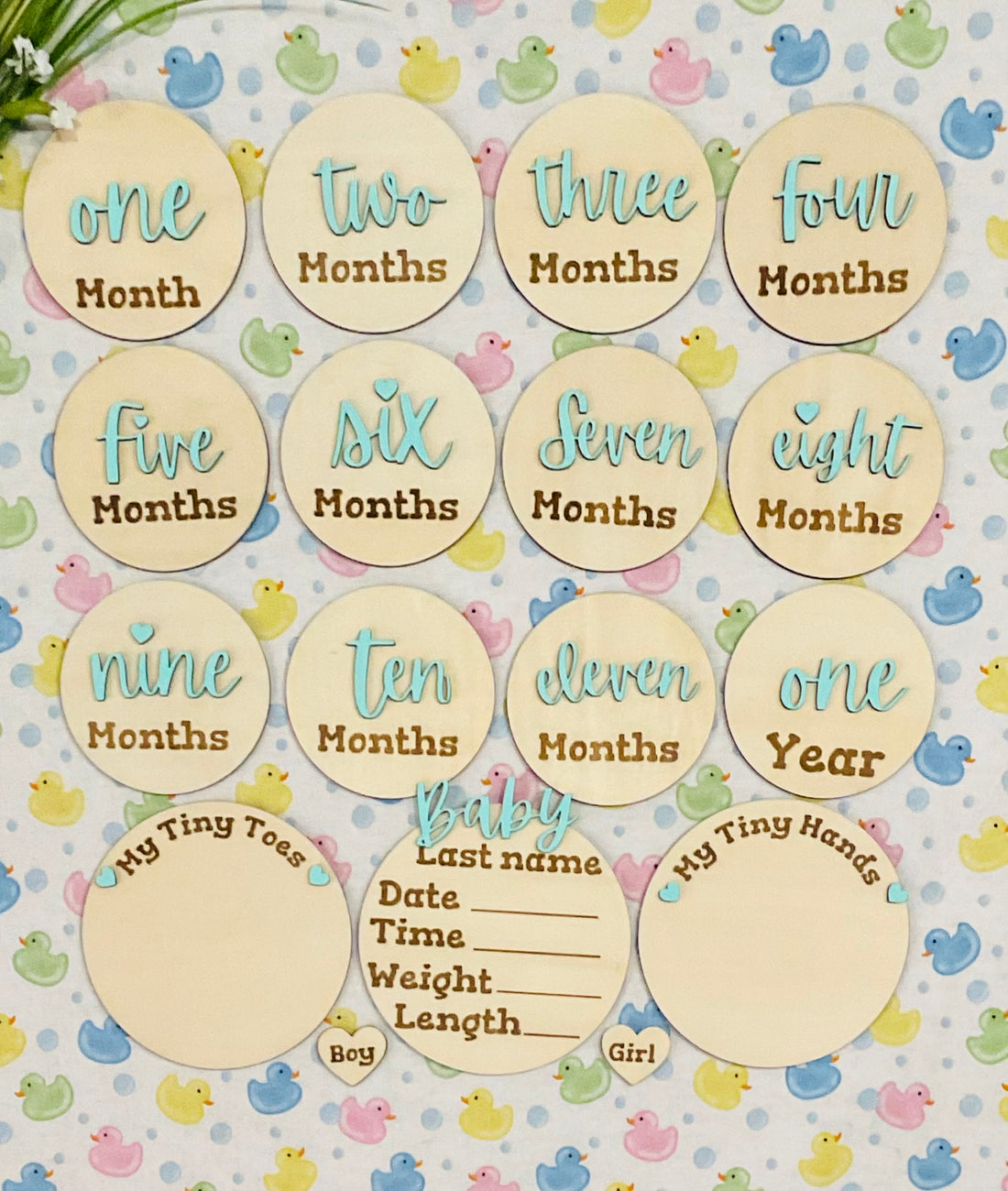 52A2BA13-2BEB-476C-9748-0556E3933859