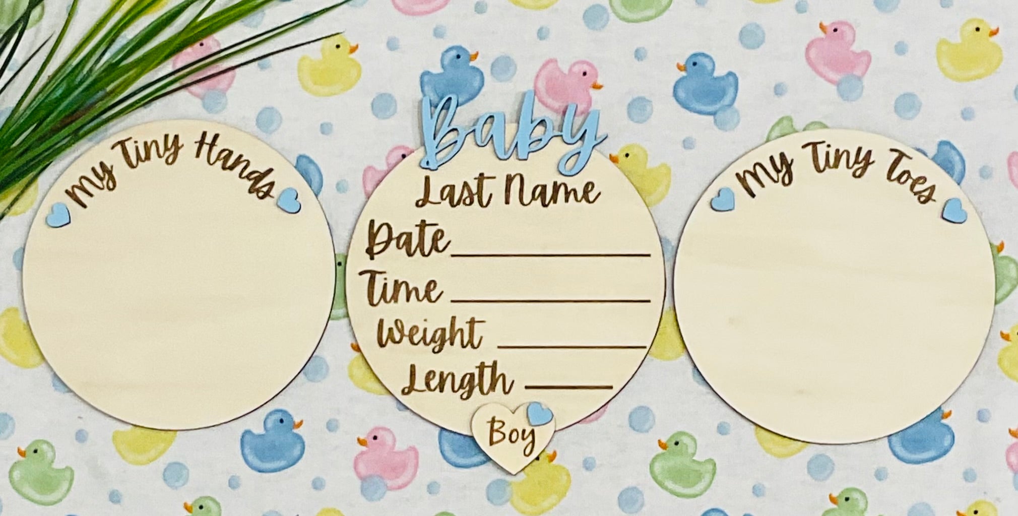 55B923C1-FABA-44DA-A079-54AA8D508E3F