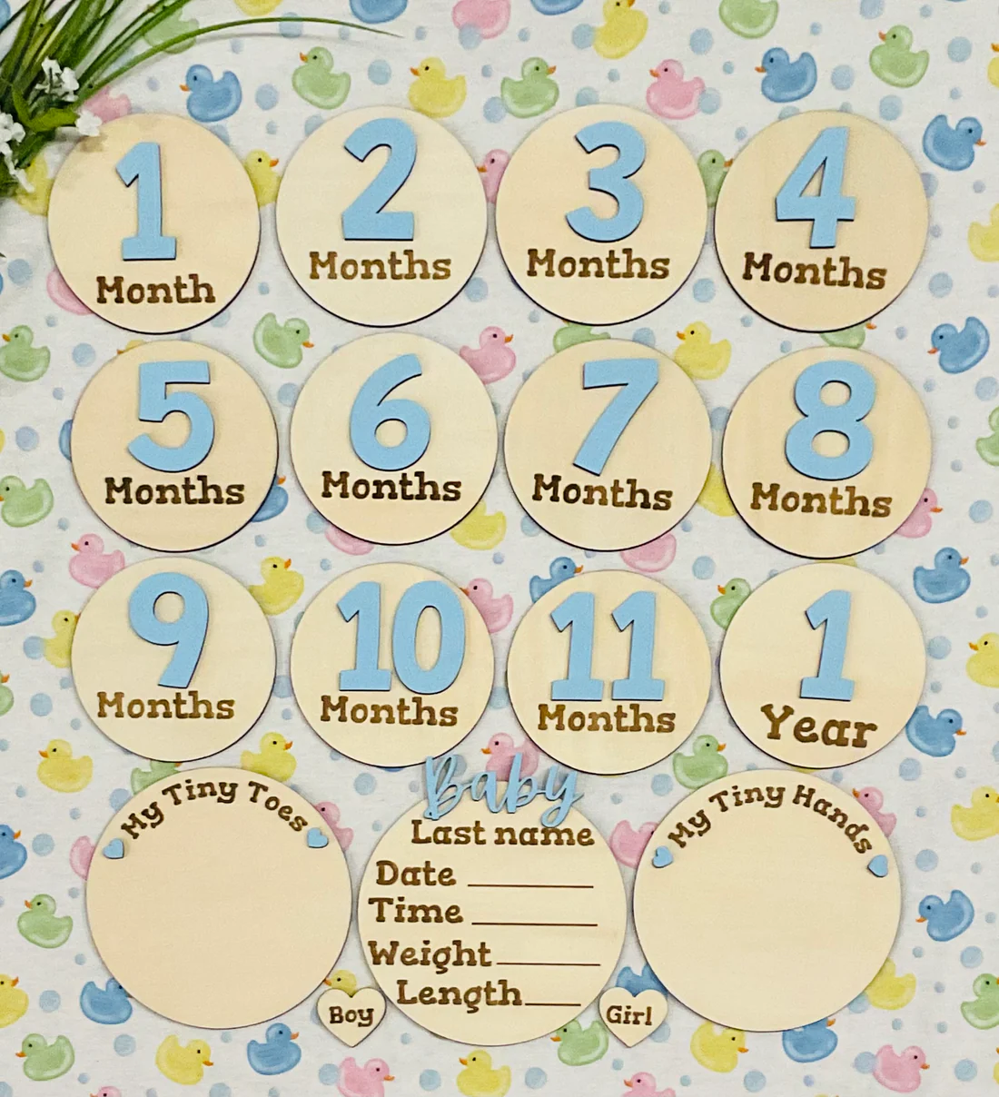 720C4106-15E1-40F5-9DCA-E12E994B1AD9