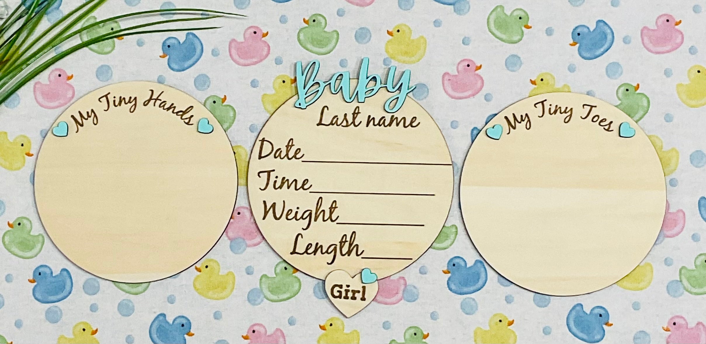 A9D55539-748E-4FC1-8F1A-F1E4451F6DA5